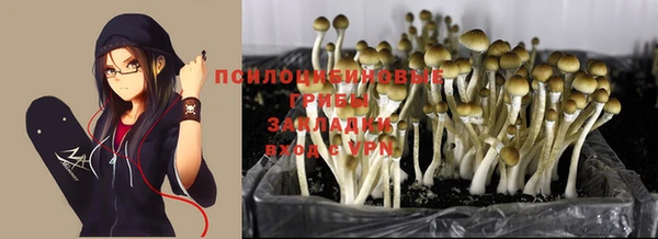 спайс Алексин