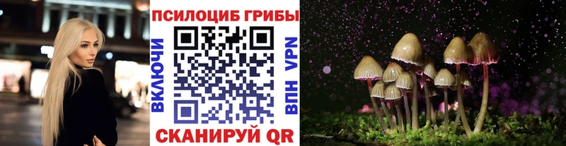 Галлюциногенные грибы Psilocybe ОМГ ОМГ как зайти Кинешма