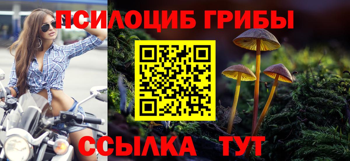 Галлюциногенные грибы прущие грибы Кинешма