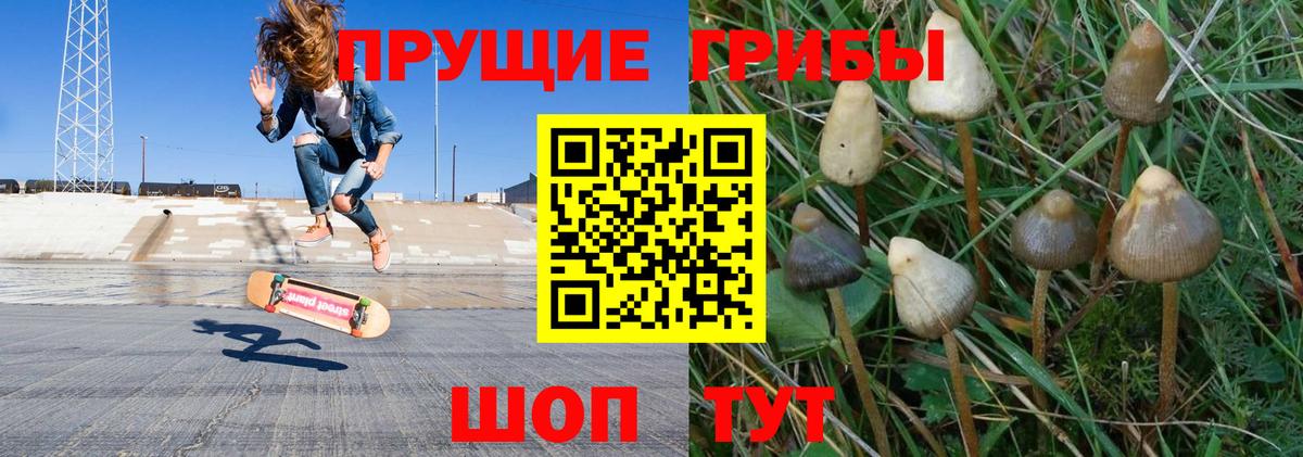 Кинешма  Псилоцибиновые грибы мухоморы  Вход с VPN 
